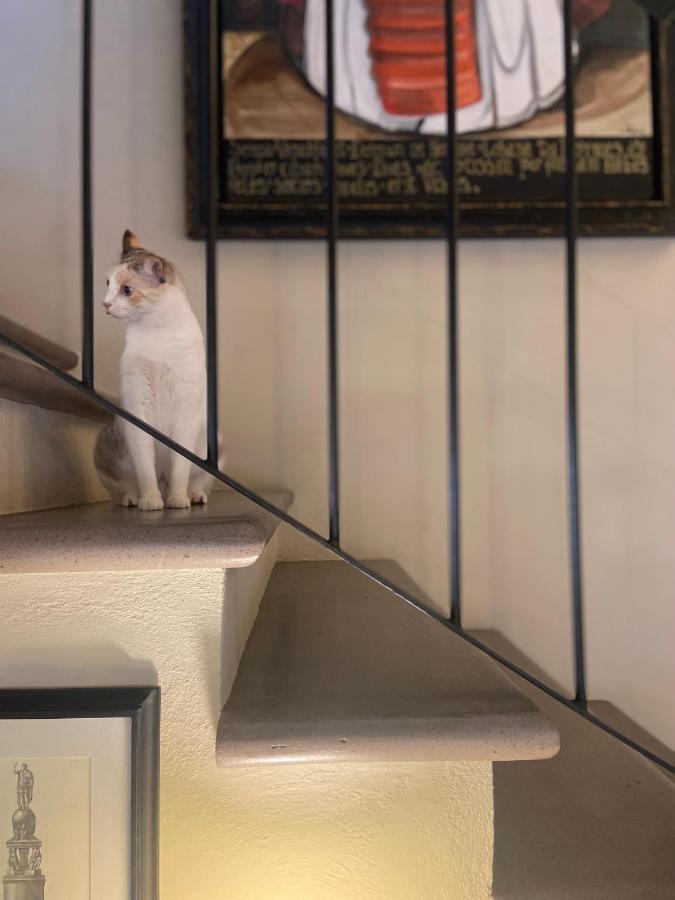 Casa Juana Guesthouse San Miguel de Allende Dış mekan fotoğraf